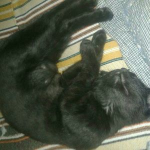 Meet your Posher, Gabriela